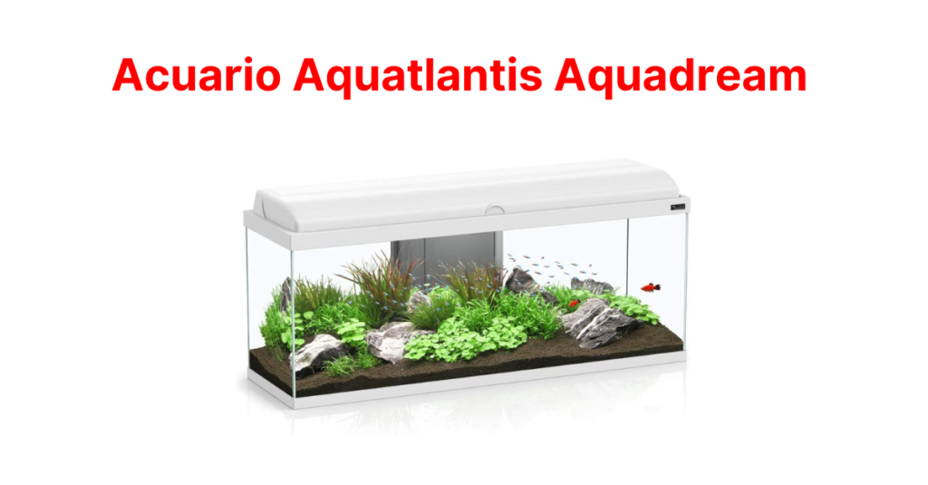 Acuario Aquatlantis Aquadream