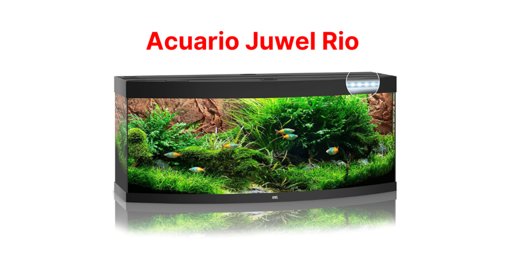 Acuario Juwel Rio
