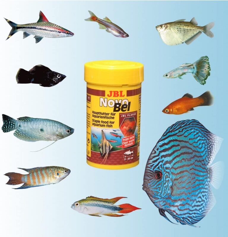 Alimento para peces JBL